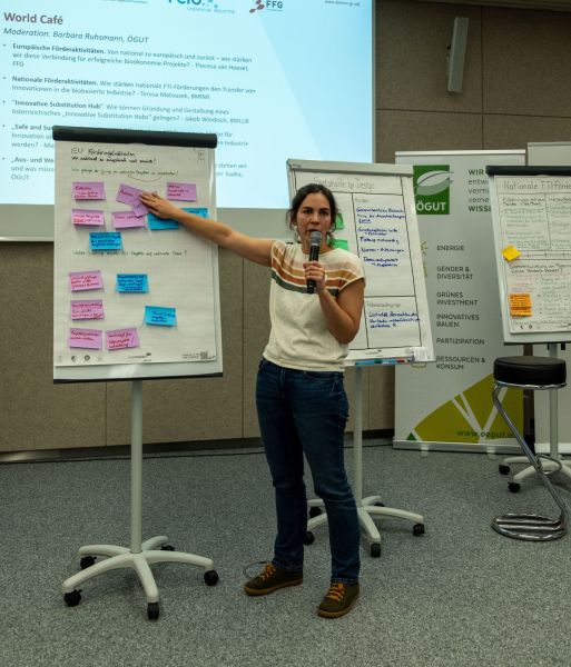 Eine Frau erklärt den Zuhörer:innen die Texte auf einem Flipchart